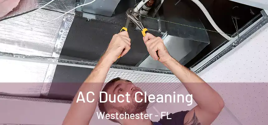AC Duct Cleaning Westchester - FL