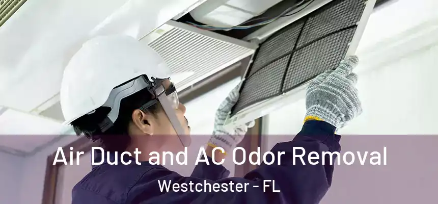 Air Duct and AC Odor Removal Westchester - FL