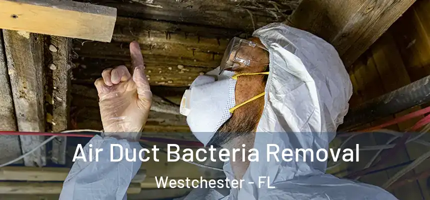 Air Duct Bacteria Removal Westchester - FL