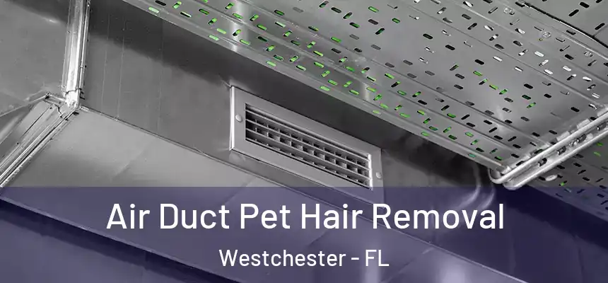 Air Duct Pet Hair Removal Westchester - FL