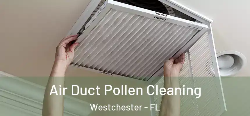 Air Duct Pollen Cleaning Westchester - FL