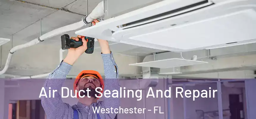Air Duct Sealing And Repair Westchester - FL