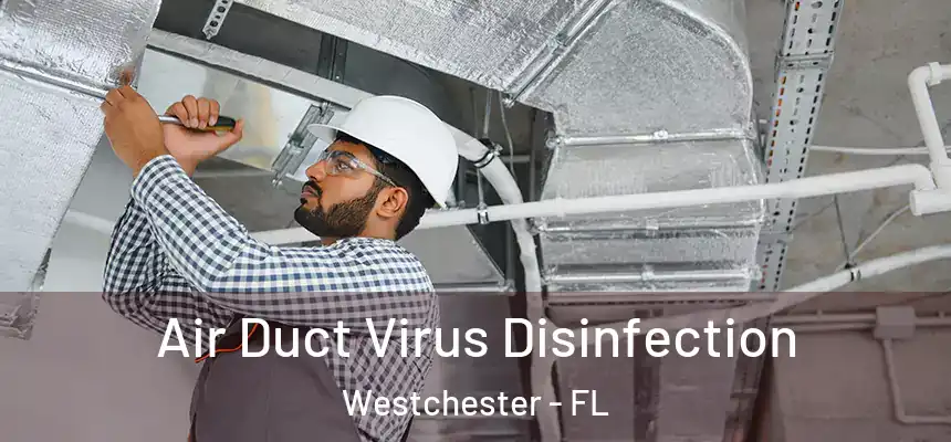 Air Duct Virus Disinfection Westchester - FL