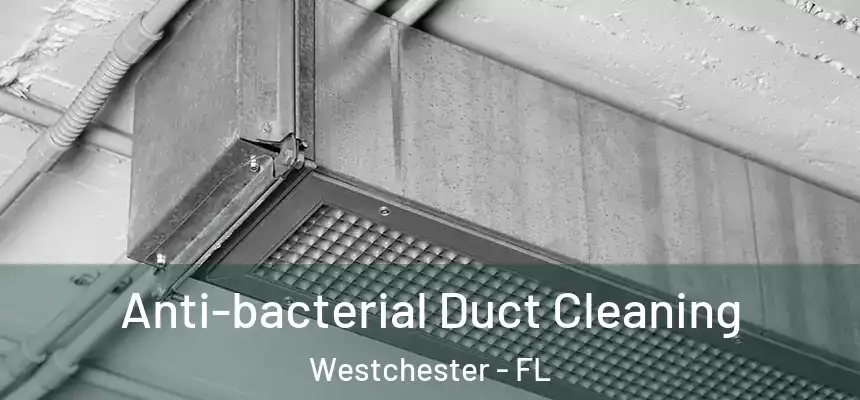 Anti-bacterial Duct Cleaning Westchester - FL