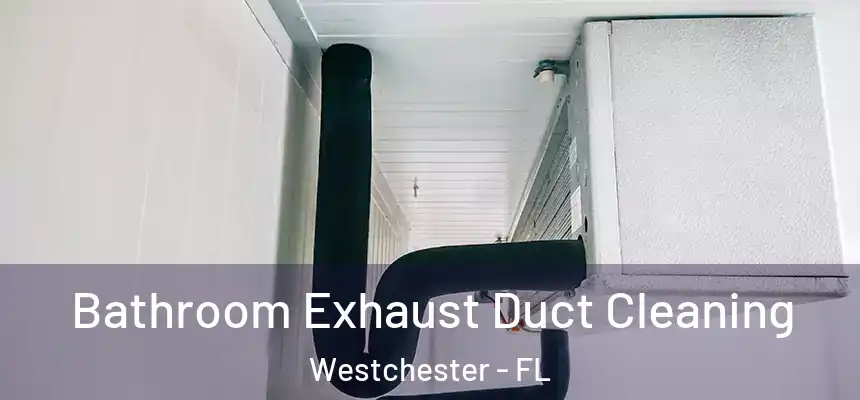 Bathroom Exhaust Duct Cleaning Westchester - FL