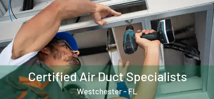 Certified Air Duct Specialists Westchester - FL