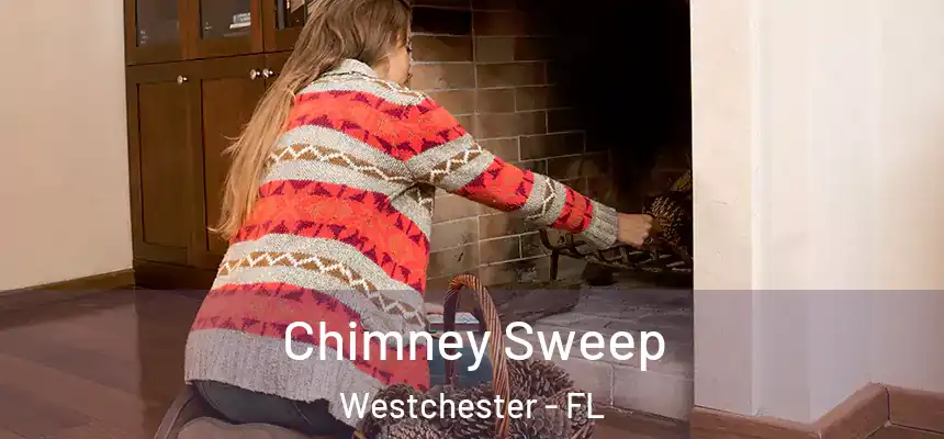 Chimney Sweep Westchester - FL