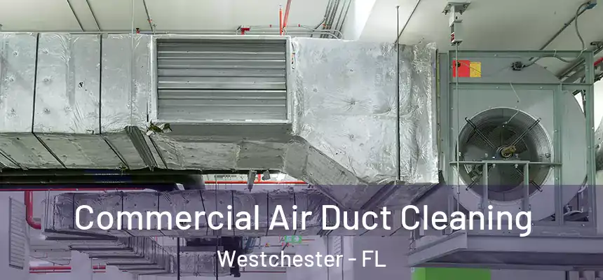 Commercial Air Duct Cleaning Westchester - FL