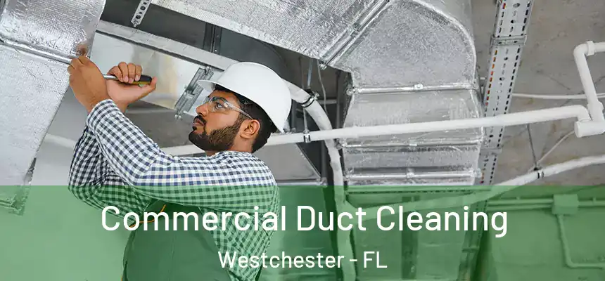 Commercial Duct Cleaning Westchester - FL