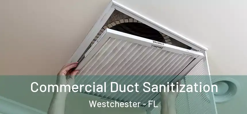 Commercial Duct Sanitization Westchester - FL