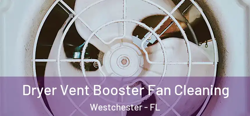 Dryer Vent Booster Fan Cleaning Westchester - FL
