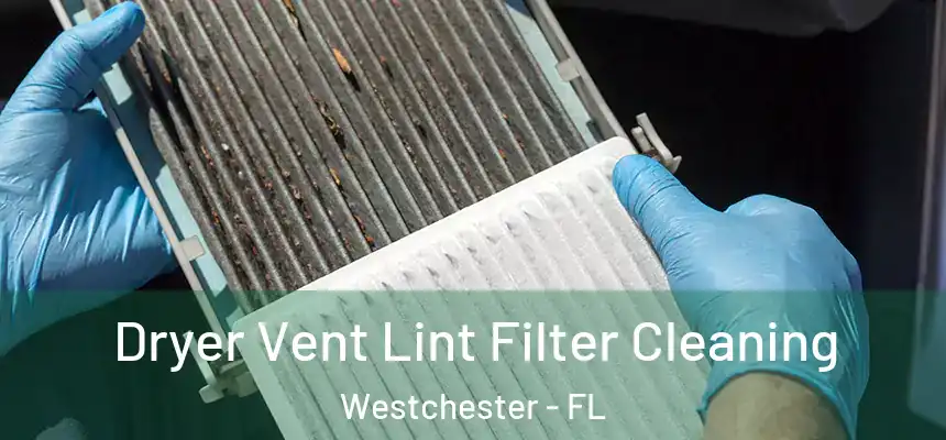 Dryer Vent Lint Filter Cleaning Westchester - FL