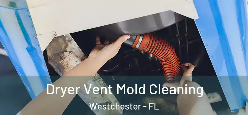 Dryer Vent Mold Cleaning Westchester - FL