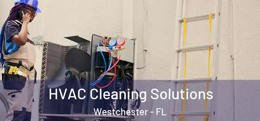 HVAC Cleaning Solutions Westchester - FL