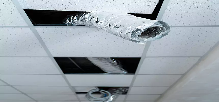 Our Air Duct Pet Hair Removal Services in Westchester, FL