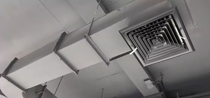 Restorative Allergy Relief Vent Cleaning – Coil, Blower & Housing Detail in Westchester