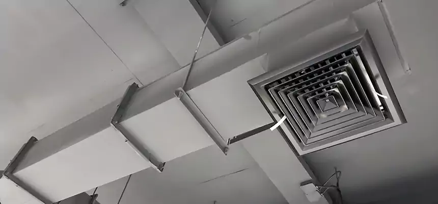 Our Rodent Droppings In Vents Services in Westchester, FL