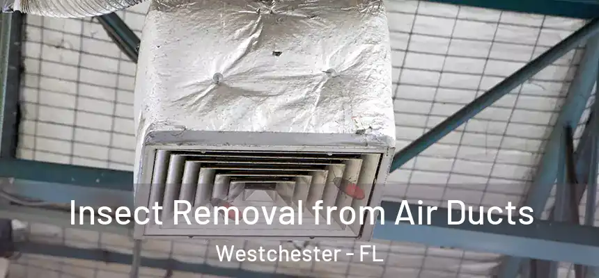 Insect Removal from Air Ducts Westchester - FL