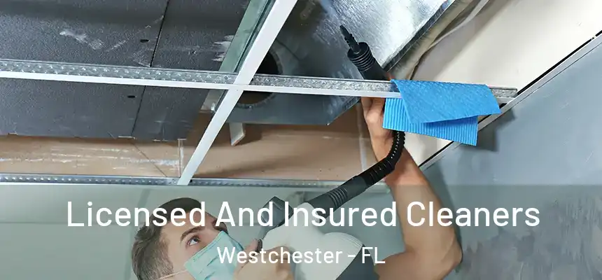 Licensed And Insured Cleaners Westchester - FL