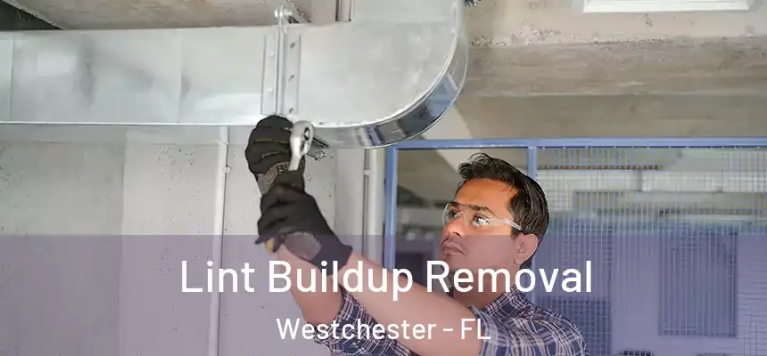 Lint Buildup Removal Westchester - FL