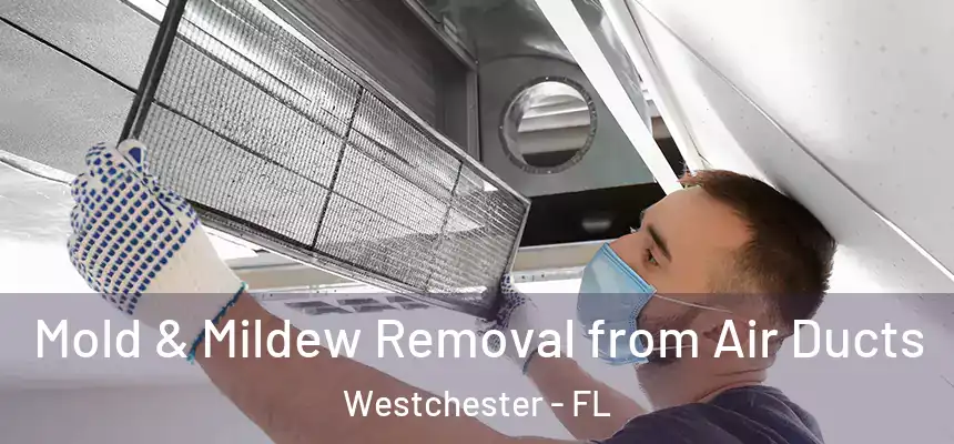 Mold & Mildew Removal from Air Ducts Westchester - FL