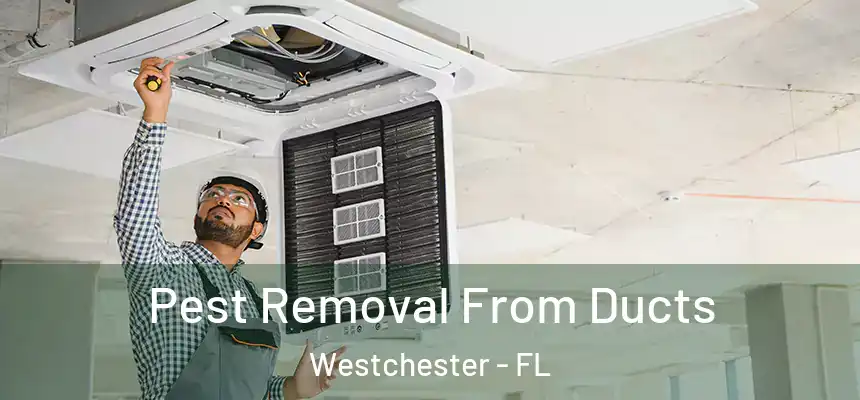 Pest Removal From Ducts Westchester - FL