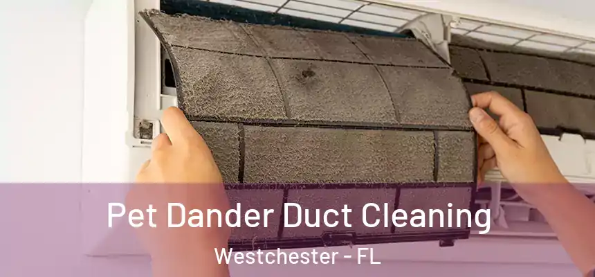 Pet Dander Duct Cleaning Westchester - FL
