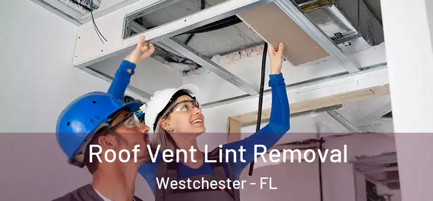 Roof Vent Lint Removal Westchester - FL