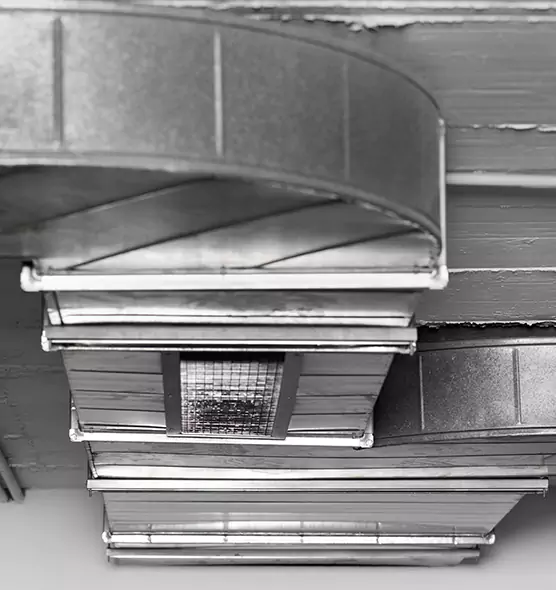 Professional Air Duct Pet Hair Removal in Westchester, FL