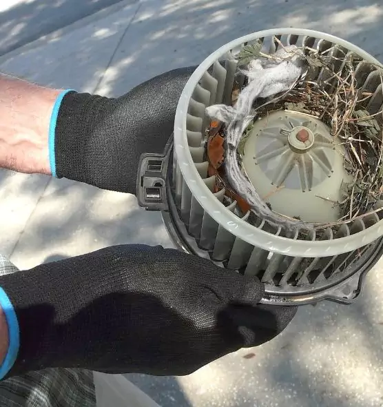 About Air Duct Rat Removal in Westchester, FL