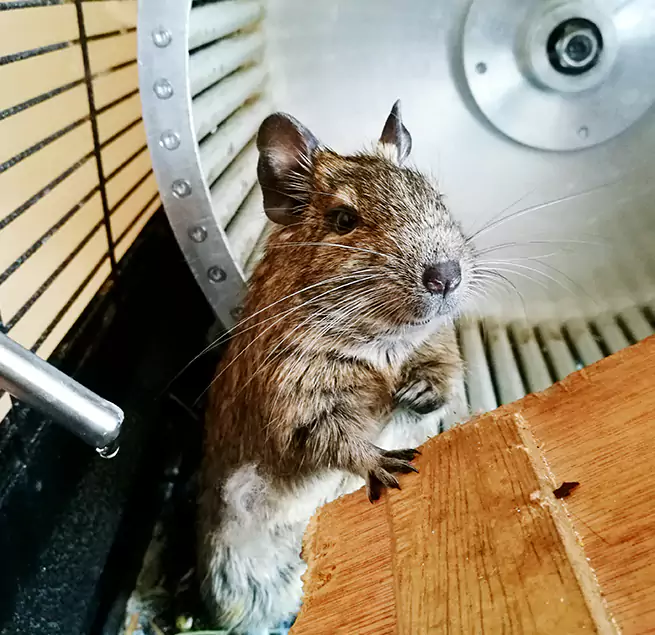 Why Homeowners & Businesses Trust Us Westchester, FL?