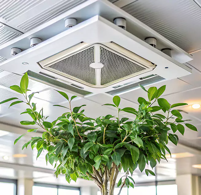 Why Homeowners & Businesses Trust Us in Westchester, FL?