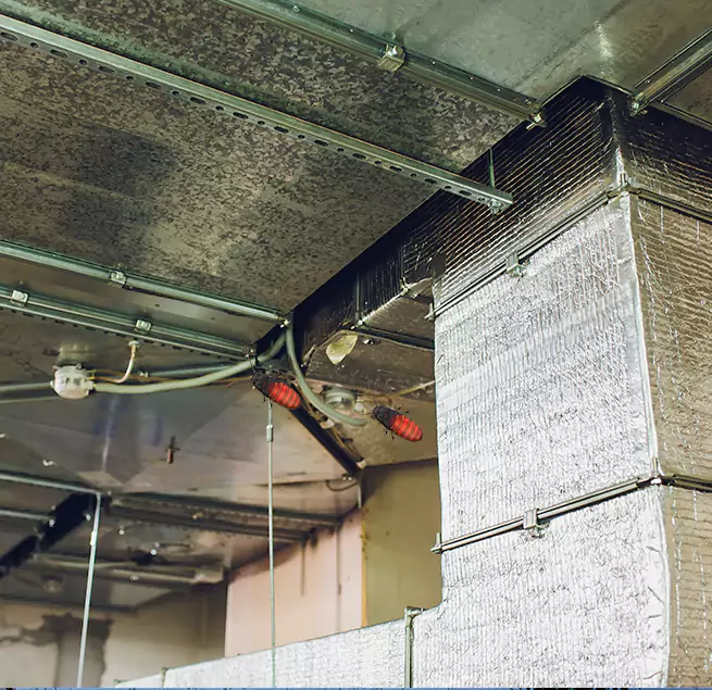 Why Homeowners & Businesses Trust Us Westchester, FL?