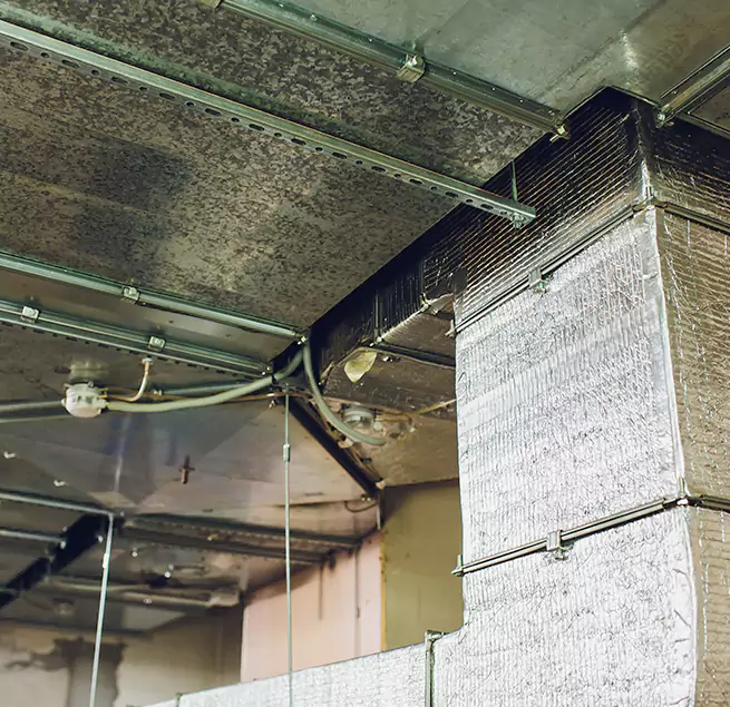 Why Homeowners & Businesses Trust Us in Westchester, FL?