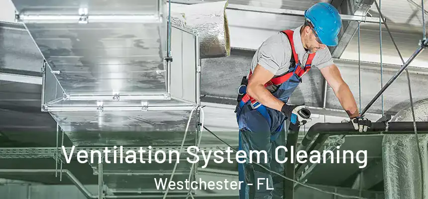 Ventilation System Cleaning Westchester - FL