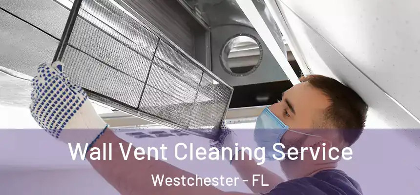 Wall Vent Cleaning Service Westchester - FL